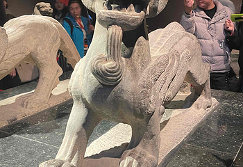 洛阳博物馆第 55 张图片