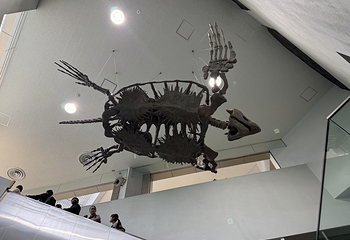 名古屋港水族馆第 27 张图片