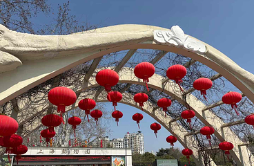 上海动物园第 59 张图片