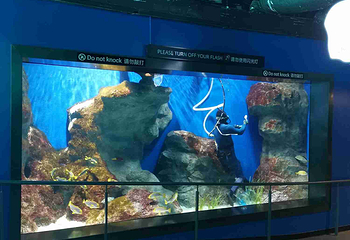 新加坡海洋生态馆第 143 张图片