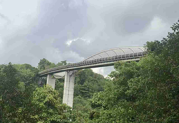 花柏山公园第 37 张图片