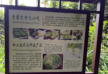 兴隆热带植物园第 75 张图片