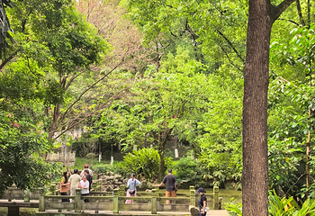 华岩寺第 53 张图片