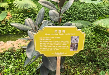 御龙温泉第 17 张图片