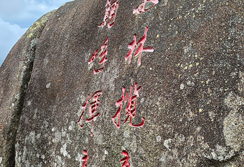 亚龙湾热带天堂森林公园第 248 张图片