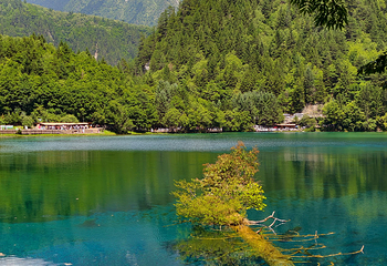 九寨沟风景区第 538 张图片