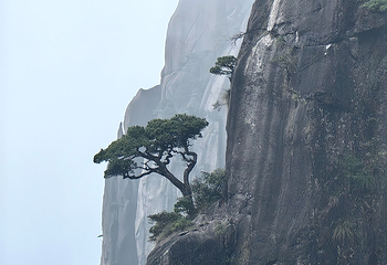 三清山风景区第 347 张图片