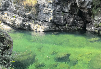 石台牯牛降景区第 121 张图片