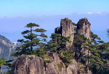 黄山风景区第 275 张图片