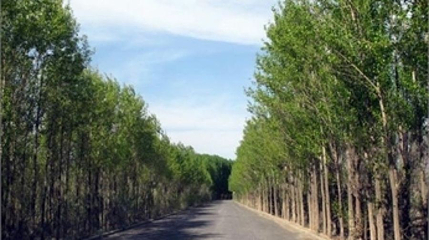 沙漠公园-沙生植物园第 1 张图片