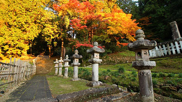 鸟取藩主池田家墓所