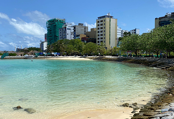 Artificial Beach第 6 张图片