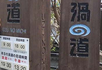 涡之道第 8 张图片