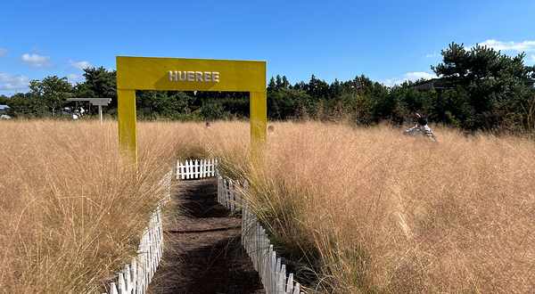 休爱里自然生活公园