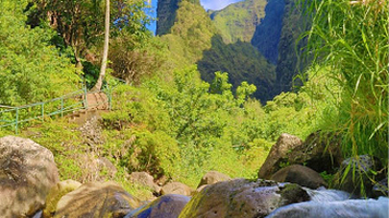 ʻIao Needle Lookout Trail and Ethnobotanical Loop
