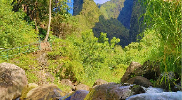 ʻIao Needle Lookout Trail and Ethnobotanical Loop