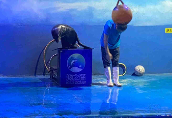 海之语海洋世界第 34 张图片