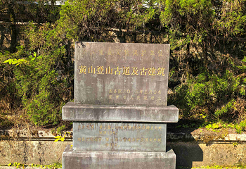 黄山风景区第 263 张图片