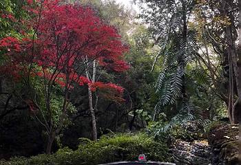 和顺柏联温泉第 88 张图片