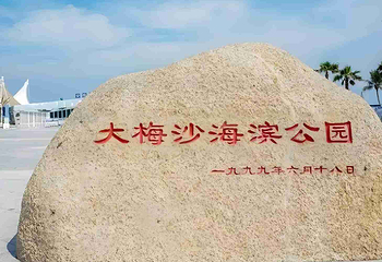 大梅沙海滩第 16 张图片