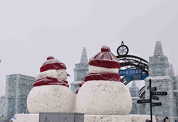 哈尔滨冰雪大世界第 216 张图片