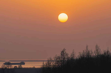 东滩湿地公园第 77 张图片