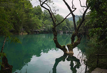 荔波小七孔景区第 267 张图片