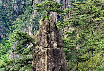黄山风景区第 247 张图片