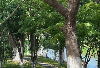 石湖景区第 124 张图片