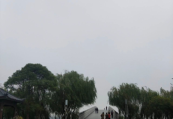 南湖第 135 张图片