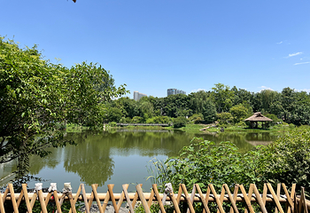 浣花溪公园第 29 张图片