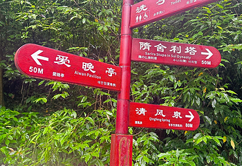 岳麓山第 56 张图片