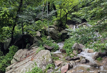泰山风景区第 274 张图片