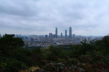 青秀山第 216 张图片