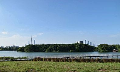 海珠湖公园第 25 张图片