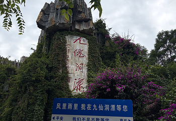 贵州九仙旅游景区第 146 张图片
