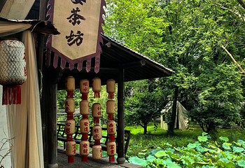 西溪国家湿地公园第 214 张图片