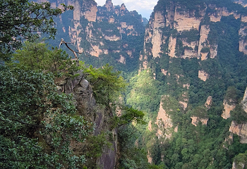 张家界大峡谷第 114 张图片