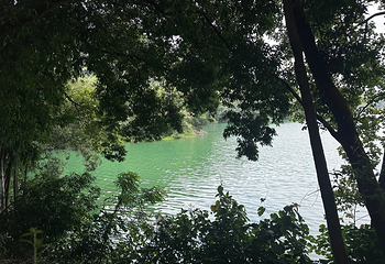 万绿湖风景区第 58 张图片