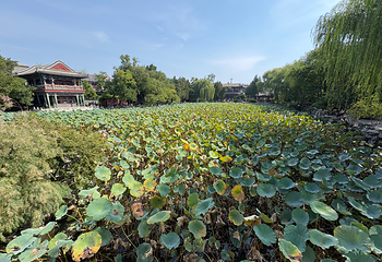 直隶总督署第 80 张图片