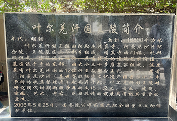 阿曼尼莎汗纪念陵第 25 张图片