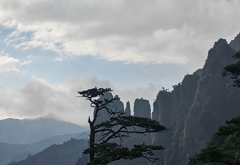 莽山五指峰景区第 154 张图片