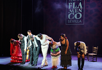 塞维利亚Teatro Flamenco Sevilla弗拉明戈剧院第 23 张图片
