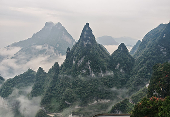天门山国家森林公园第 256 张图片