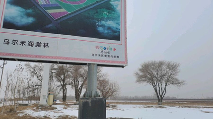 乌尔禾海棠林第 1 张图片