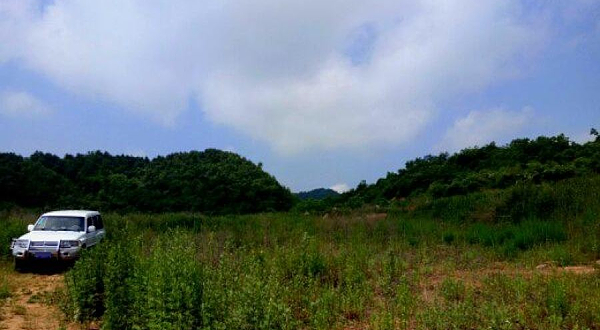 成县青崖梁生态产业观光园