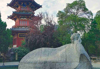 兴庆宫公园第 98 张图片