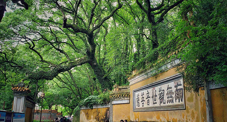 普陀山风景区第 56 张图片