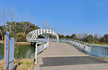 同里国家湿地公园第 39 张图片