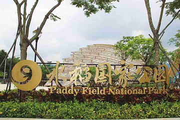 水稻国家公园第 156 张图片